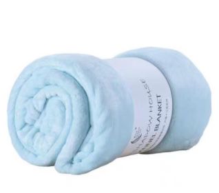 Coral Velvet Leg Nap Pet Blanket (28 x40 inches) (Option: Cyan-70cmx 100cm)